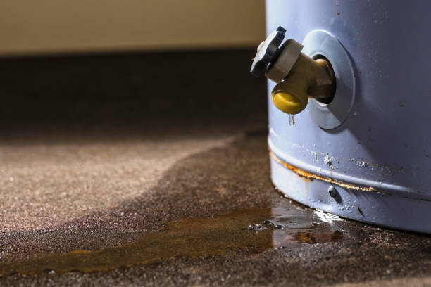 Best Water damage restoration near me  in Aberdeen, NC