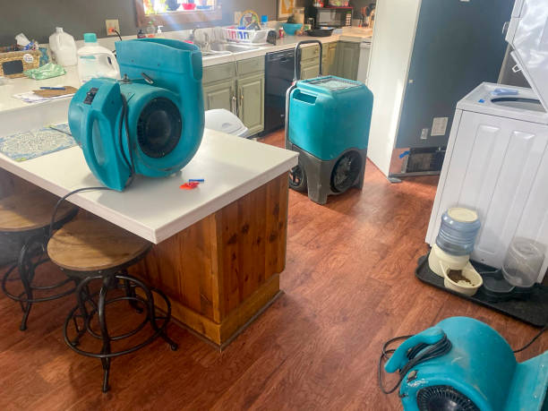 Best Basement water damage restoration  in Aberdeen, NC