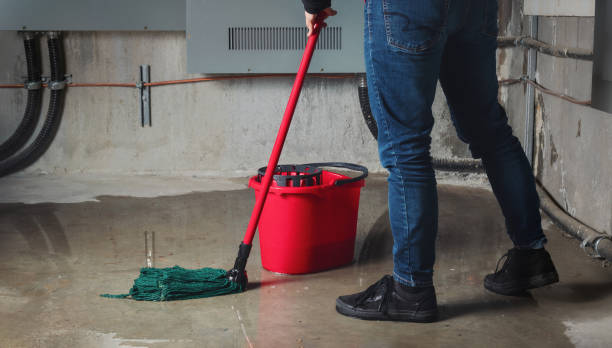 Best Water damage mitigation services  in Aberdeen, NC